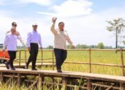 “Rekor Produksi Beras RI: Prabowo Soroti di KTT APEC!”