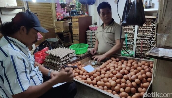 Ayam & Telur: Bisnis Kecil, Dampak Besar pada Inflasi Oktober