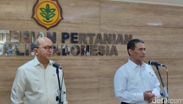 Dengan Rp 20 Triliun, Danantara Membangun Ekosistem Peternakan Ayam yang Mempesona!