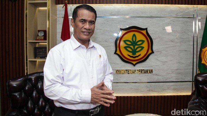 Stok Beras RI Diprediksi Tembus 6 Juta Ton di 2026 - Alternatif 1