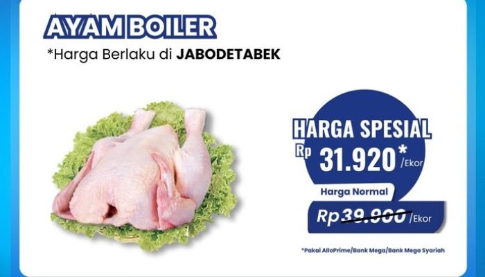Transmart Full Day Sale! Ayam Broiler Diobral Murah: Peluang Bisnis yang Menjanjikan untuk Konsumen Urban