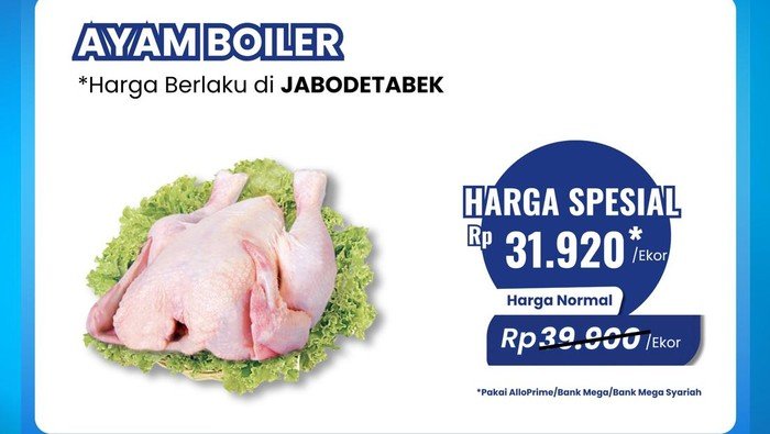 Transmart Full Day Sale! Ayam Broiler Diobral Murah: Peluang Bisnis yang Menjanjikan untuk Konsumen Urban
