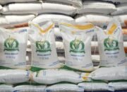 “Pemerintah Tebar Bansos Besar-Besaran di Kuartal I, Ini Rinciannya!”