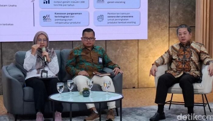 10.444 Ha Tambak Garam Raksasa di Rote Ndao: Ambisi Bisnis atau Krisis Sumber Daya?