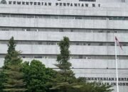 Arab Saudi Larang Impor Ayam dan Telur RI, Kementan Buka Suara – Update 2