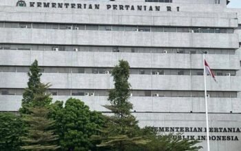 Arab Saudi Larang Impor Ayam dan Telur RI, Kementan Buka Suara – Update 2