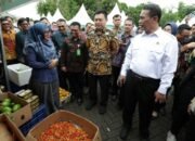 **Surplus Beras, Daging Sapi, dan Ayam: Mentan Pastikan Lebaran Tanpa Khawatir!**