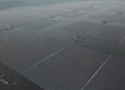 Rencana Pemerintah Bangun PLTS Besar-besaran: Peluang Bisnis Energi Terbarukan yang Menjanjikan