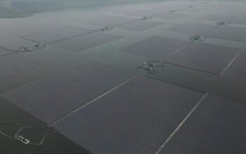 Rencana Pemerintah Bangun PLTS Besar-besaran: Peluang Bisnis Energi Terbarukan yang Menjanjikan