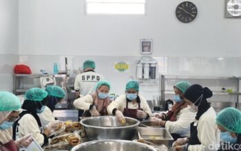 Insentif Rp 6 Juta per Hari dari BGN: Benarkah Ini Solusi untuk Dapur MBG?