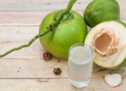 9 Dapur MBG Dihentikan, Ini Alasan BGN Usai Sajikan Kelapa Utuh