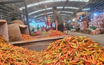Harga Cabai Tembus Rp 120.000/Kg, Ini Biang Keroknya yang Mempengaruhi Bisnis Anda!
