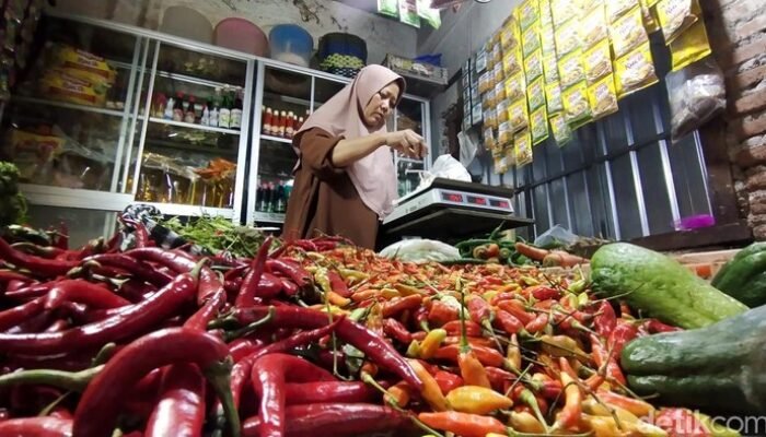 Biang Kerok Harga Cabai Rp 120.000/Kg: Bongkar Penyebab dan Akibat bagi Konsumen